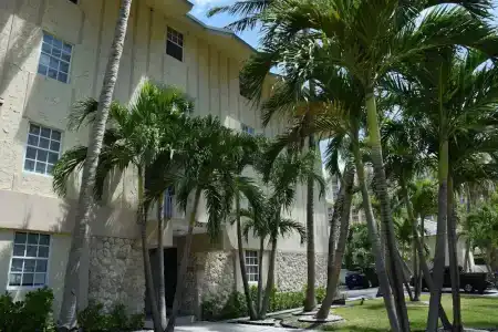 Coral Reef at Key Biscayne - 25