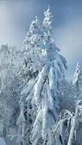 Гора Белая - 28