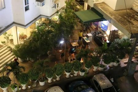 Dodas Palace by ShriGos - 32