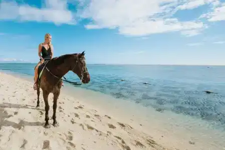 Lux* Le Morne Resort - 45