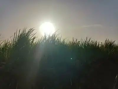 Плавучая гостиница Серебряная Дельта - 39