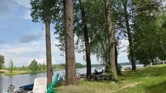 Зелёная роща - 84