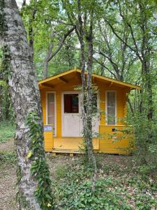 Эколоджия - 56