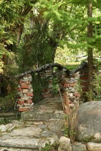 Река Времени - 23