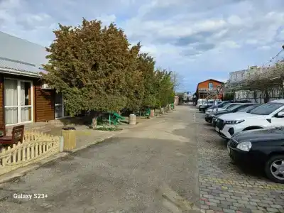 Альтернатива - 46