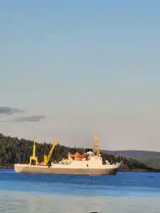 Кедр Грасс Белое Море - 81