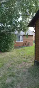 Светлячок - 12
