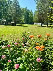 ЛесОК - Домик лесника - 14