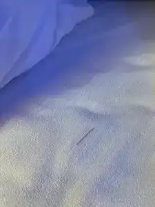 Mariana Trench - 6