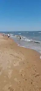 Три моря - 36