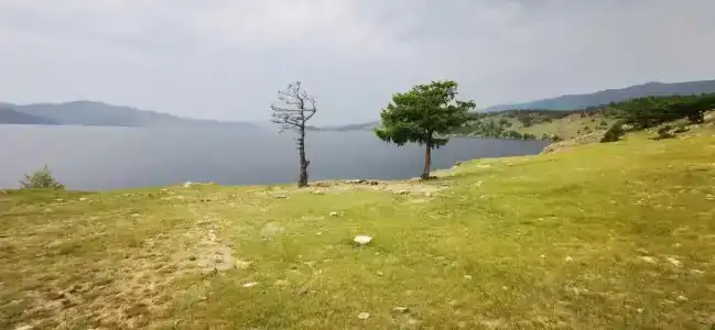 Лазурная - 25