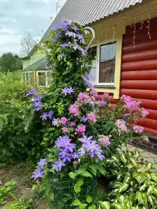 Волшебный Сад - 52