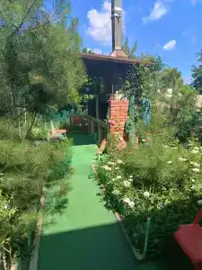 Голуби - 9