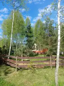 Хвойный парк - 30