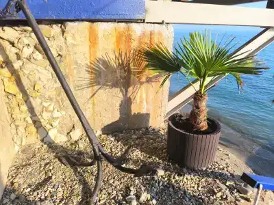 Гостевой дом у Кедра - 6