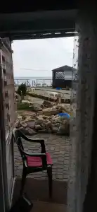 Жемчужный - 62