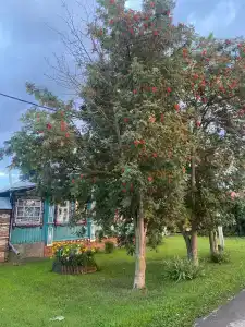 Времена Года - 15