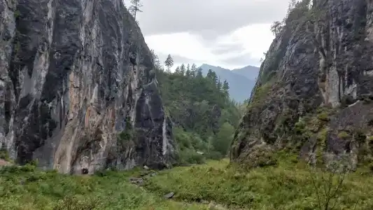 Чечкыш - 39