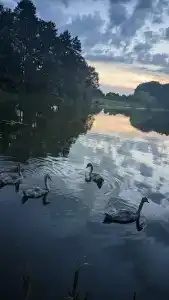 Агроусадьба Беловежская Гостевая - 54