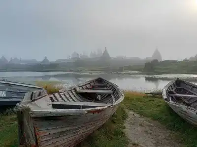 Приют - 29