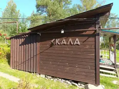 Скала - 49