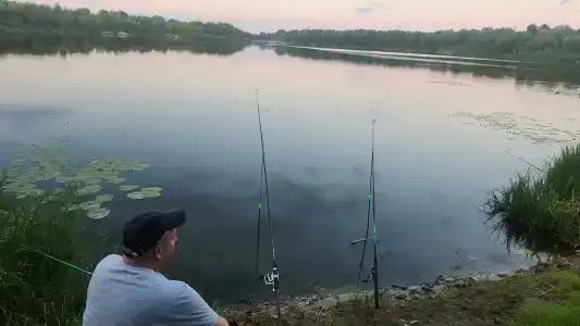 ГринЛандия - 55