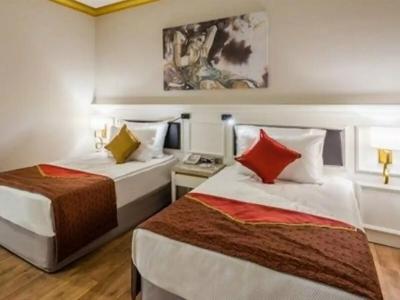 Mary Palace Resort & Spa - 14