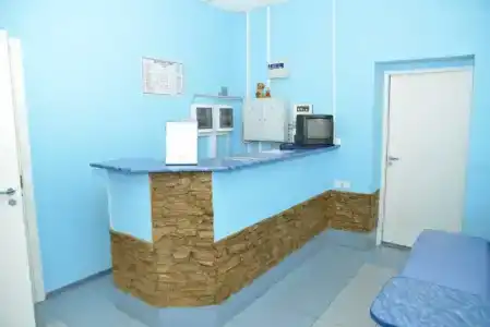Кедр - 17