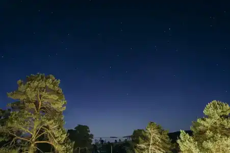 Вилла Малина - 38