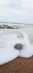 База отдыха у Петровича - 62