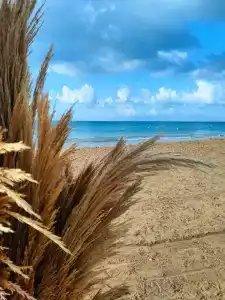 Liu Resorts - All inclusive - 53