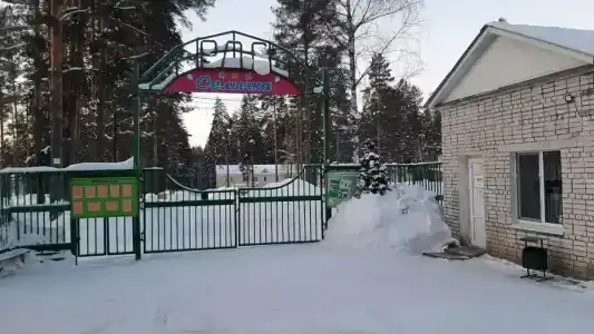 Селычка - 91