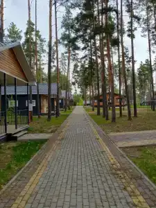 Смена - 18