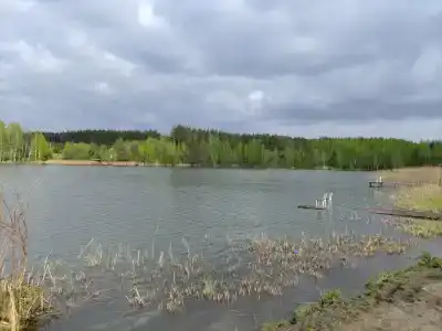 ЭкоОстров - 38