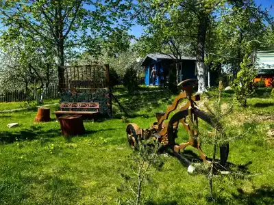 Здоровей - 55