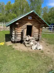 Костин двор - 5