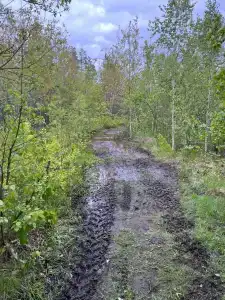 Лесной Бункер - 83