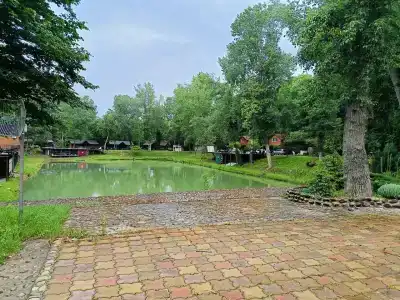 Комарово клуб - 7
