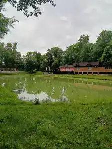 Комарово клуб - 12