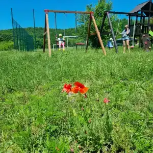 Дубровский клуб - 22