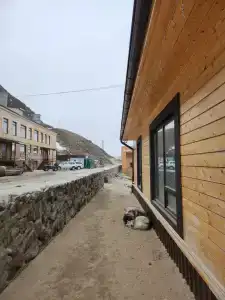 Cedar Grass Териберка - 63