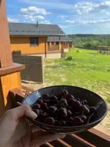 База отдыха Эко-лоджи Wish Home Yahroma - 85