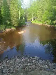 Кокуй - 4