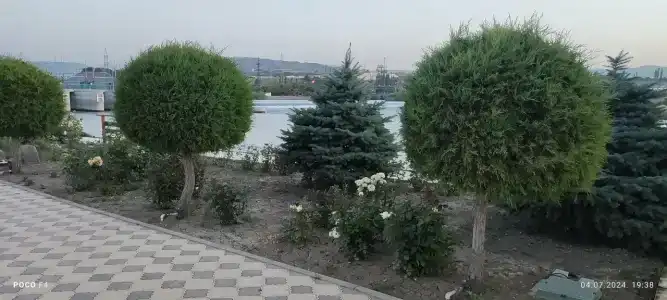 Парнас - 33