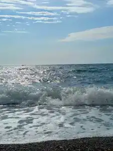 на море хочу - 1