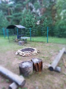 Пчелинцево - 90