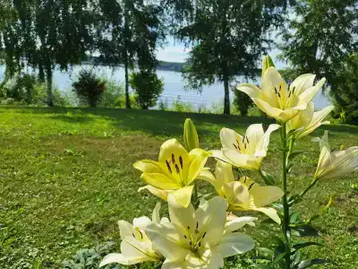 Дом на Волге - 14