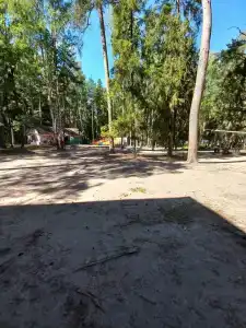 Сосновый бор - 13