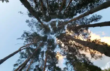 Медвежий угол - 33