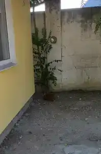 Приморский дворик - 84